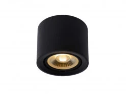 Ronde Plafondspot FEDLER - Zwart Zwart