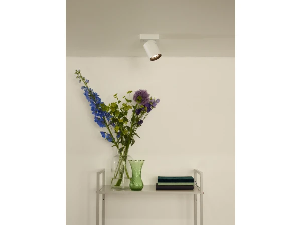 Plafondspot NIGEL 1x - Wit Wit - Afbeelding 2