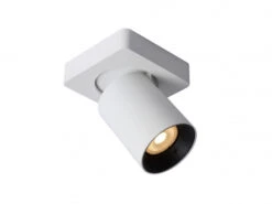 Plafondspot NIGEL 1x - Wit Wit