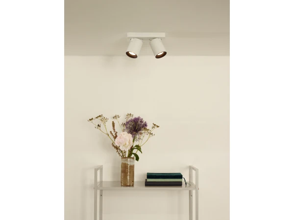 Plafondspot NIGEL 2x - Wit Wit - Afbeelding 2