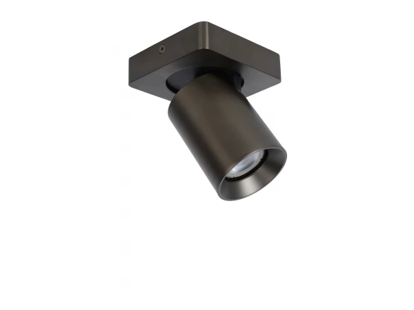 Plafondspot NIGEL 1x - Zwart Staal Rvs - Afbeelding 4