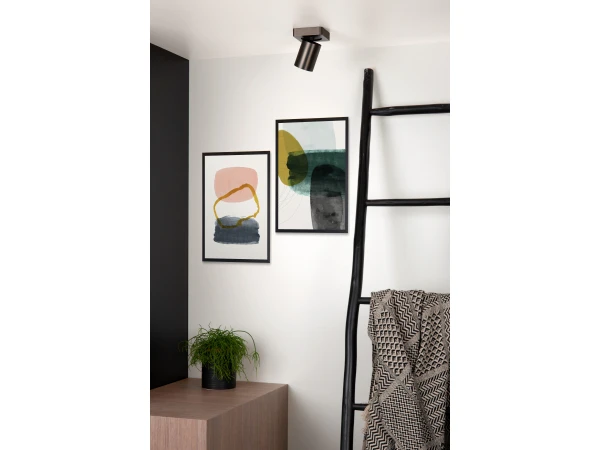 Plafondspot NIGEL 1x - Zwart Staal Rvs - Afbeelding 2