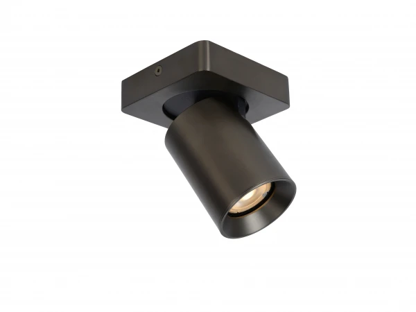 Plafondspot NIGEL 1x - Zwart Staal Rvs