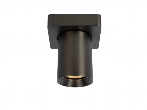 Plafondspot NIGEL 1x - Zwart Staal Rvs - Afbeelding 3