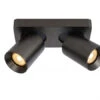Plafondspot NIGEL 2x - Zwart Staal Rvs