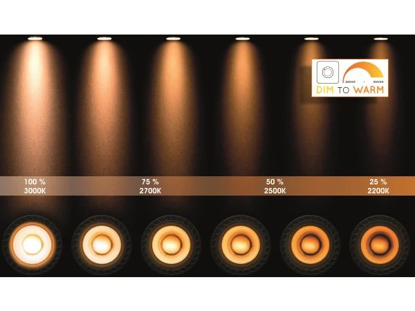 Plafondspot NIGEL 4x - Zwart Staal Rvs - Afbeelding 6