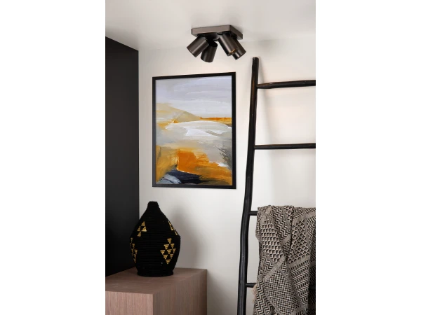 Plafondspot NIGEL 4x - Zwart Staal Rvs - Afbeelding 2